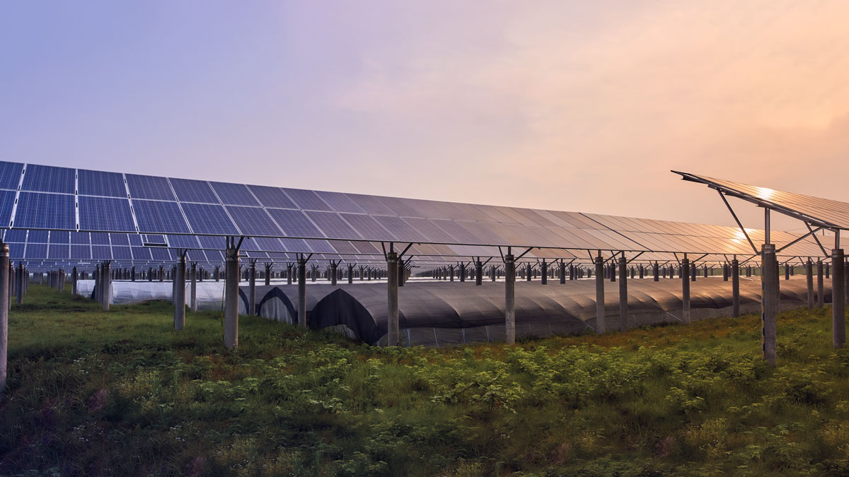 impianto agrivoltaico